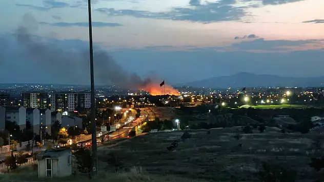 Ankara'da otluk arazide yangın