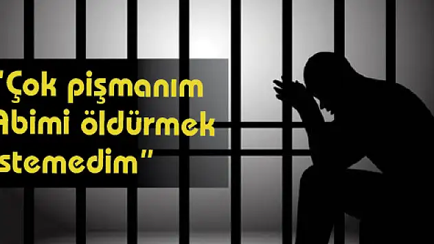 Annesine bakmadığı için ağabeyini öldüren sanığa müebbet