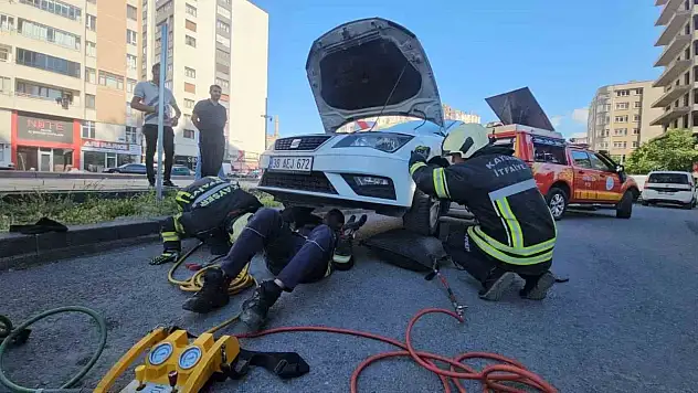 Araçta göründükten sonra kaybolan yılan araç sahibinin evinin önünde ortaya çıktı