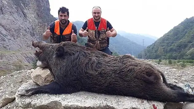 AVCILAR NE VURDUĞUNU GÖRÜNCE ŞAŞIP KALDILAR