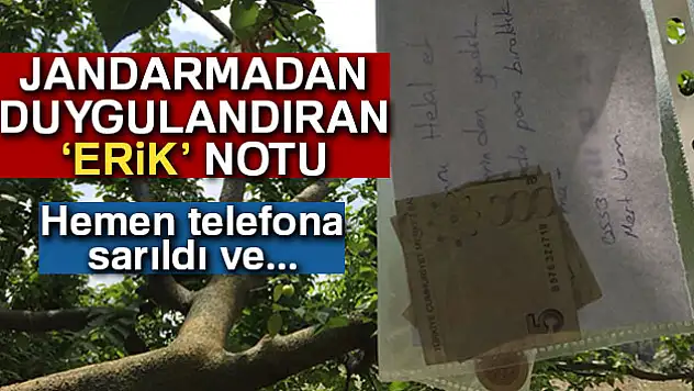 Bahçeden erik yiyen jandarma para ve not bıraktı