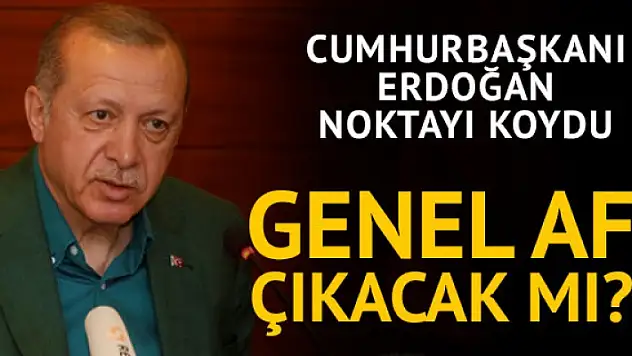 BAHÇELİ'NİN AF ÖNERİSİNE ERDOĞAN'DAN YANIT