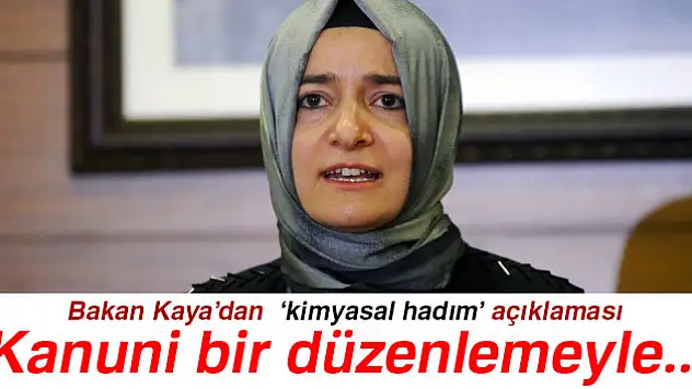 Bakan Kaya'dan 'kimyasal hadım' açıklaması