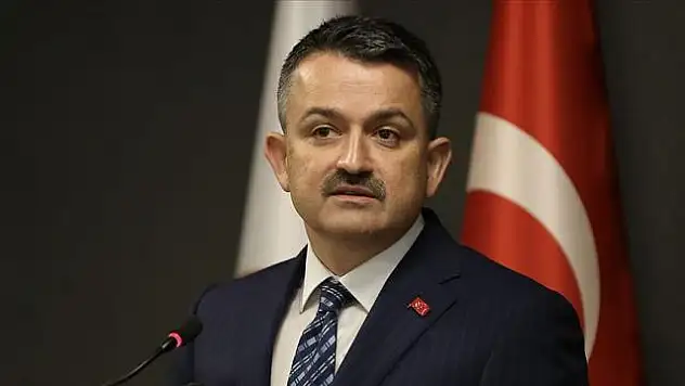 BAKAN PAKDEMİRLİ'NİN DE BULUNDUĞU UÇAK ARIZA NEDENİYLE ACİL İNİŞ YAPTI