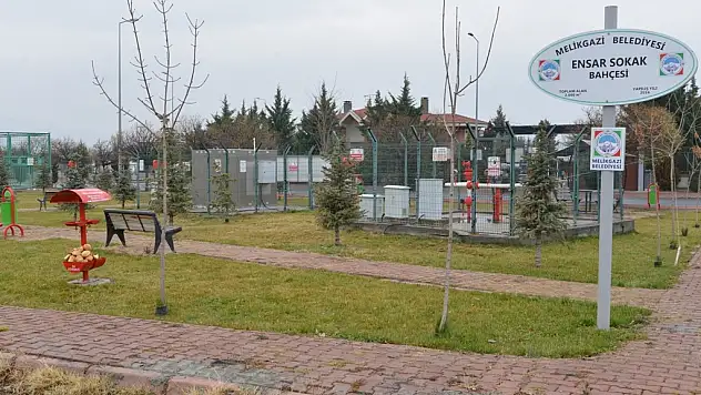 Başkan Dr. Memduh Büyükkılıç, 'Sokak Hayvanlarına Gıda Desteği Tek Merkezden'