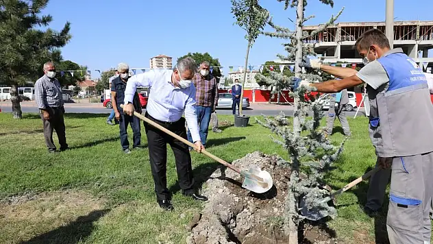 Başkan Dr. Mustafa Palancıoğlu'fidan değil, ağaç dikiyoruz'