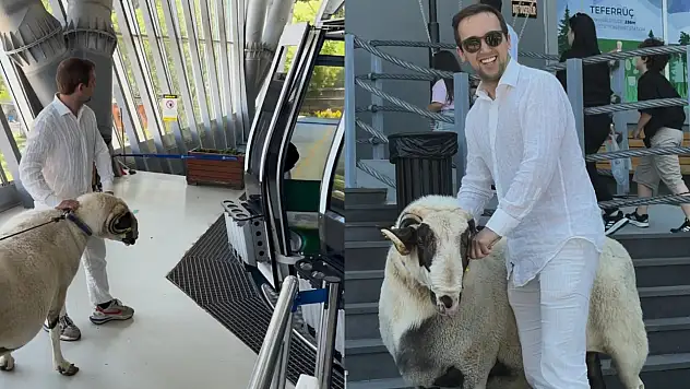 Bayramda keseceği koçla teleferik keyfi yaptı