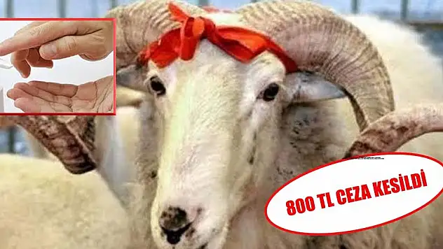 BİRİKTİRDİKLERİ KURBAN PARASI CEZAYA GİTTİ