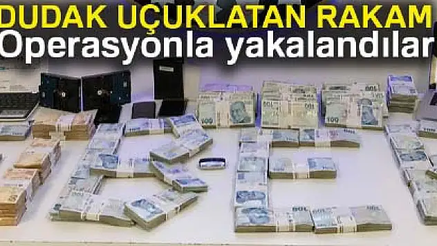 Bitcoin dolandırıcısının evinden çıkan paraların sergisi yapıldı