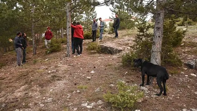 BU İĞRENÇLİKTE KÜTAHYA'DAN! İKİ ADAM, KÖPEĞE TECAVÜZ ETTİ!