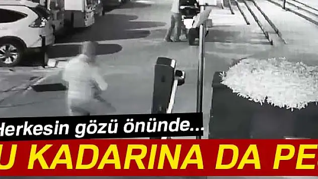 Bu kadarına da pes!
