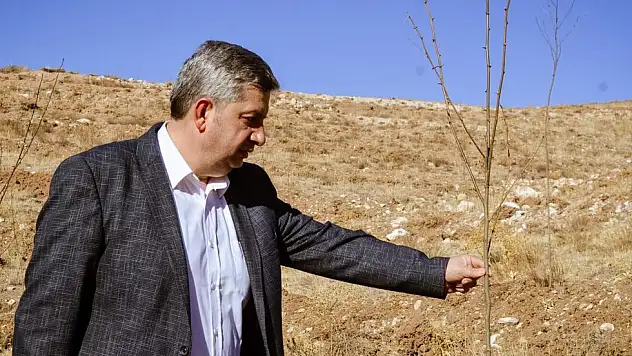 BÜNYAN BELEDİYESİ BAL ORMANINA 14 BİN 300 ADET FİDAN DİKİLDİ