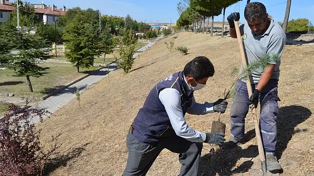 BÜNYAN BELEDİYESİ PARKLARI YENİLEMEYE DEVAM EDİYOR