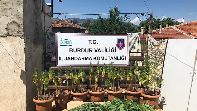 Burdur'da Yasak Kenevir Ekimi Yapan 2 Kişi Suçüstü Yakalandı!