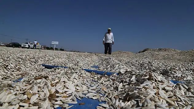 BÜYÜKKILIÇ'IN TARIMA VERDİĞİ ÖNEM RAKAMLARA YANSIDI