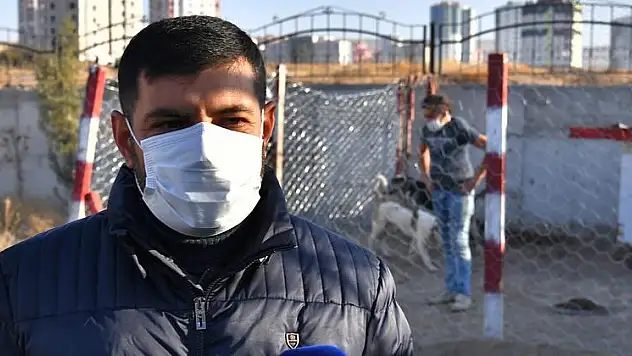 BÜYÜKŞEHİR BELEDİYESİ'NDEN SOKAK HAYVANLARI GÖNÜLLÜLERİNE DESTEK