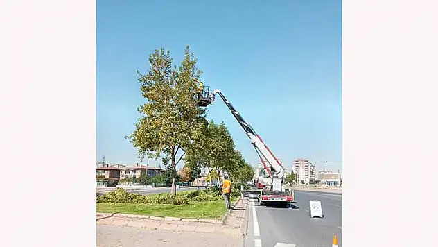 BÜYÜKŞEHİR'DEN HUMMALI SONBAHAR ÇALIŞMASI