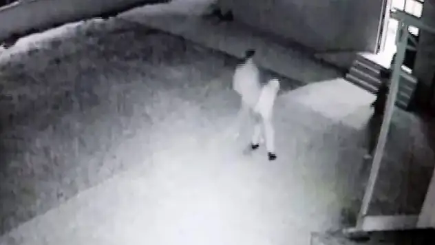 Cami avlusunda uygunsuz davranış uyarısı saldırıyla bitti! İmam darp edildi