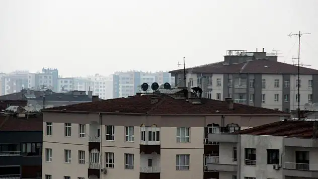 Çatıda can pazarı