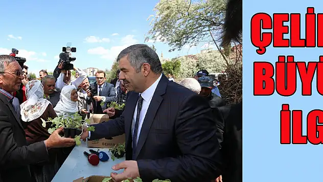 ÇELİK'E BÜYÜK İLGİ