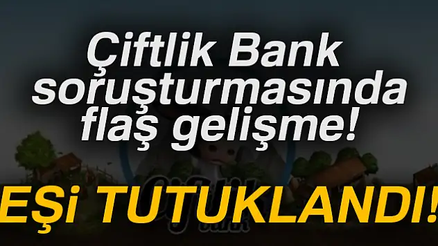 Çiftlik Bank soruşturmasında 2 tutuklama