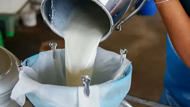 Çiğ süte zam geldi: 1 Ekim'den itibaren geçerli olacak