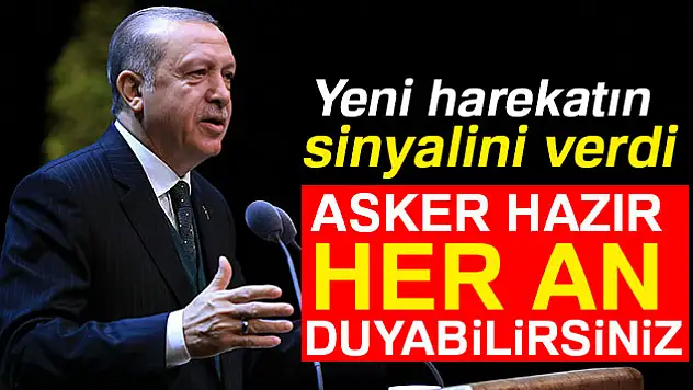 Cumhurbaşkanı Erdoğan yeni operasyonu dünyaya ilan etti