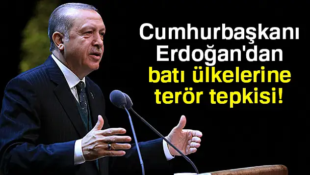 Cumhurbaşkanı Erdoğan'dan batı ülkelerine terör tepkisi