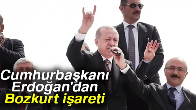 Cumhurbaşkanı Erdoğan'dan Bozkurt işareti