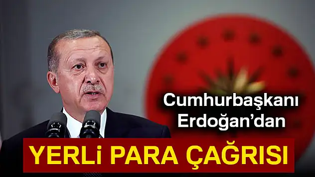 Cumhurbaşkanı Erdoğan'dan yerli para çağrısı