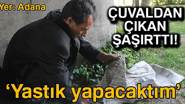 Çuvaldan çıkan şaşırttı! 'Yastık yapacaktım'