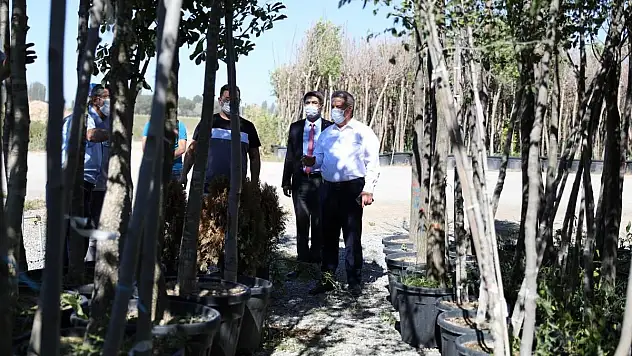 Daha yeşil bir Melikgazi için ağaçlar yolda