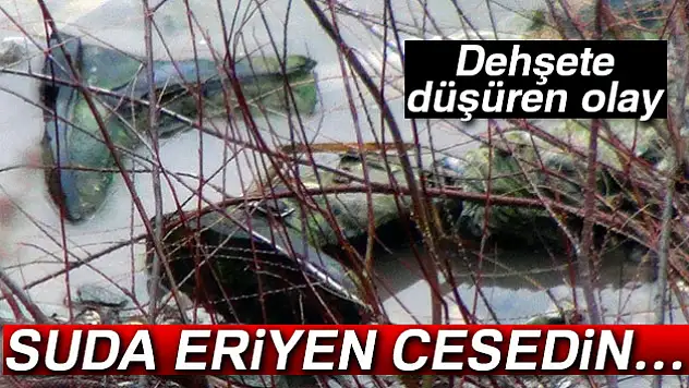 Dehşete düşüren olay..