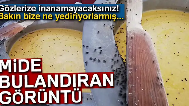 Depoya giren zabıta ekipleri gözlerine inanamadı