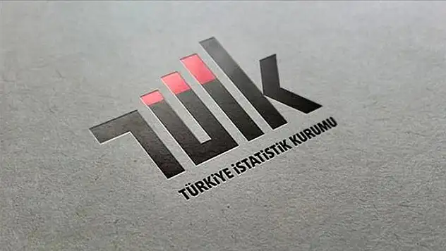 Devlet açığı 2024'te yüzde 3,2'ye düştü