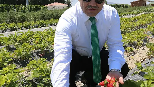 Doğal ürünler bahçesi ve pazarı açıldı