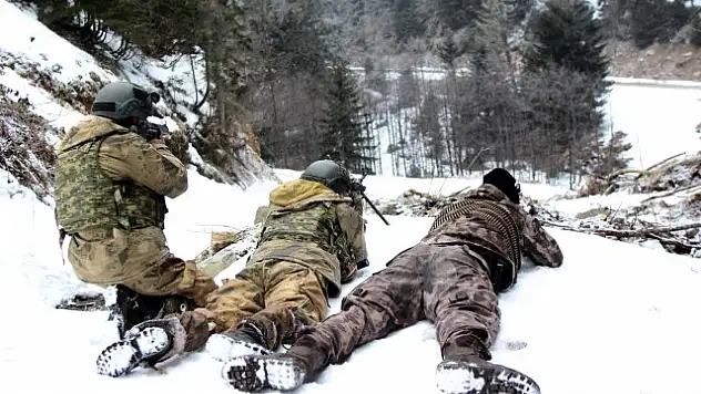Doğu Karadeniz'de 5 İlde Eş Zamanlı Terör Operasyonu Başlatıldı