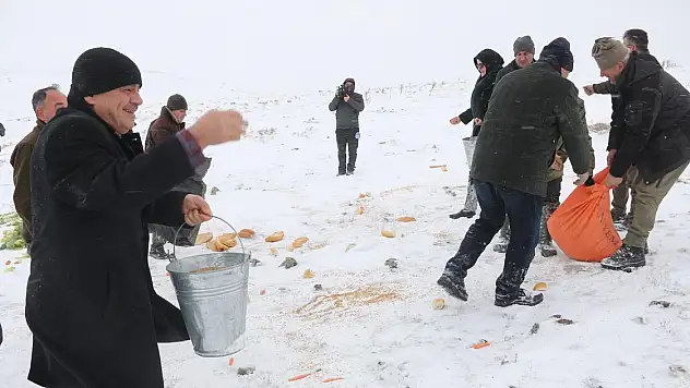 DRONE İLE GÖRÜNTÜLENEN DAĞ KEÇİLERİNE YİYECEK BIRAKILDI
