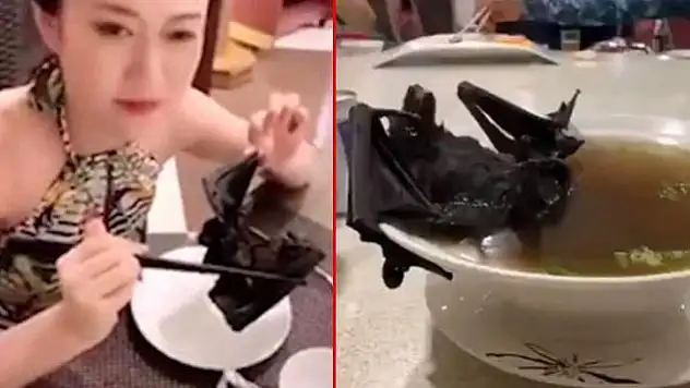 DÜNYA SAĞLIK ÖRGÜTÜ'NÜN WUHAN RAPORU ORTAYA ÇIKTI