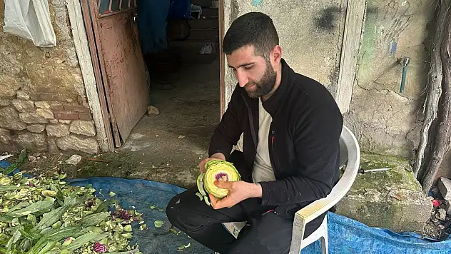 Enginar soyarak ayda 240 bin lira kazanıyor