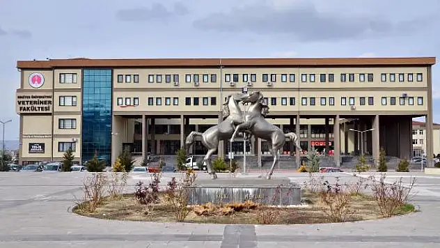 Erciyes Üniversitesi: 'Deneyle köpek katliamı' iddiası gerçek dışı