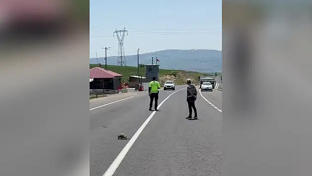 Erzurum'da yürekleri ısıtan görüntü: Polis memuru kaplumbağa için trafiği durdurdu