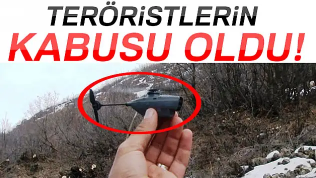 'Eşek arısı' teröristlerin kabusu oldu