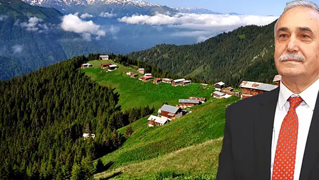 Fakıbaba: Yayla Yasağı Bu Yaz Kaldırılacak