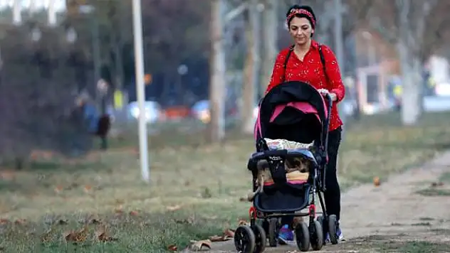FELÇLİ KÖPEĞİNİ HER GÜN BEBEK ARABASIYLA GEZDİRİYOR