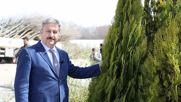 'Fidan değil ağaç dikiyoruz'