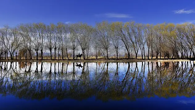 FOTOĞRAF YARIŞMASININ ÖDÜLLERİ VERİLDİ
