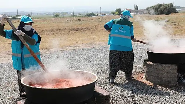 GELENEKSEL TOHUMLAR, SALÇAYA DÖNÜŞTÜ