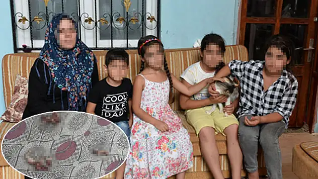 Gelini ve torunlarını evden çıkarmak için kedi parçaladı iddiası
