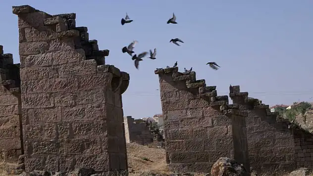 Gesi Bağları'ndaki güvercinlikler ilgi çekiyor